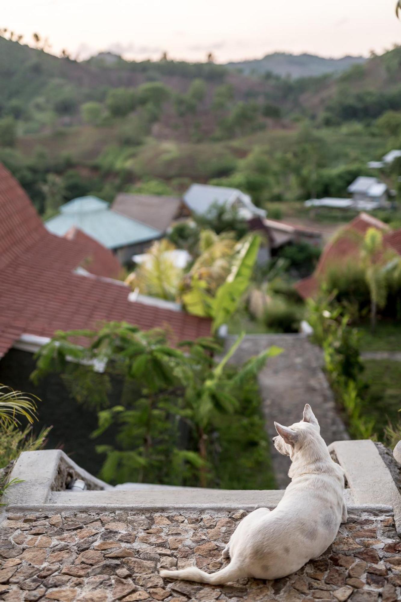 Drop In Surf Lodge Kuta  Bagian luar foto