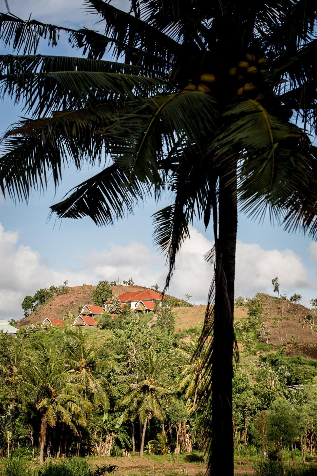 Drop In Surf Lodge Kuta  Bagian luar foto